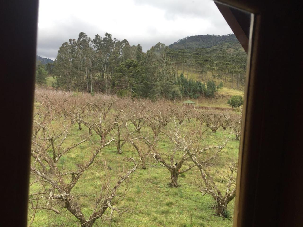 Pousada Sabor Da Roca Urubici Exterior foto